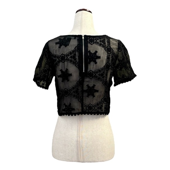 Forever 21 Sheer Black Embroidered Crop Top/ Goth, Witchcore, Royalcore /Small - Picture 3 of 5